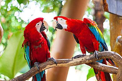 小岛秀夫无意迎合所有人：对吸引大众市场不感兴趣